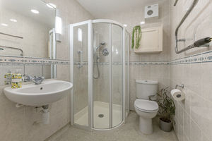 Shower Room- click for photo gallery